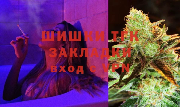PSILOCYBIN Зерноград