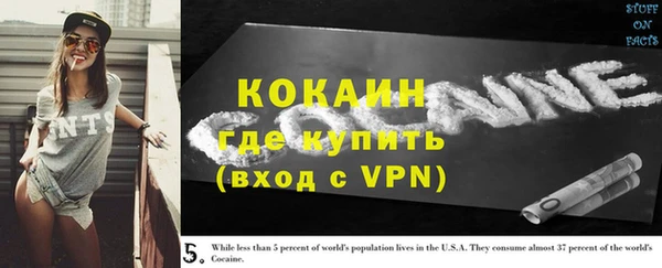 PSILOCYBIN Зерноград