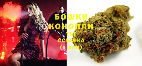 PSILOCYBIN Зерноград