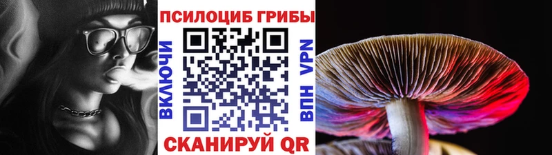 Галлюциногенные грибы мухоморы  Купить где  Асино 