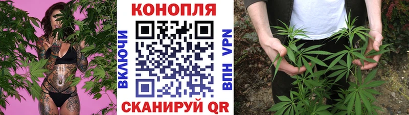 Канабис индика  Купить закладки  Асино 